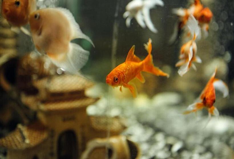 Отель Und Restaurant Peking