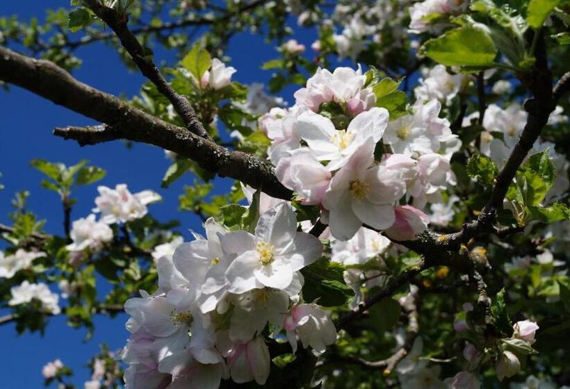 Landhotel Schellenberg