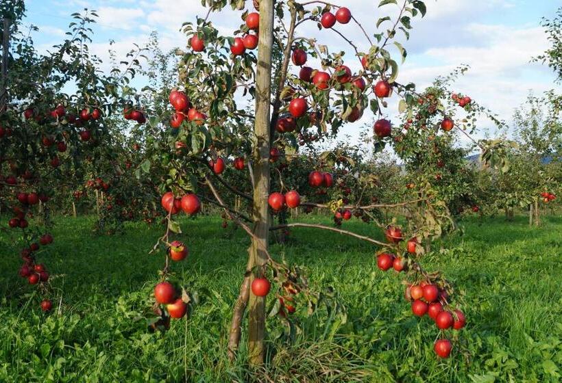 Landhotel Schellenberg