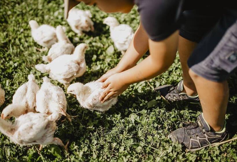 Weßner Hof Landhotel & Restaurant