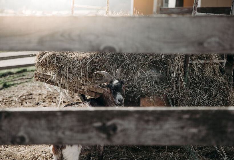 Weßner Hof Landhotel & Restaurant