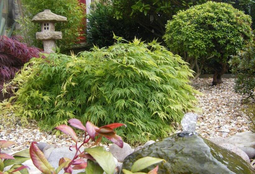 تختخواب و صبحانه Amaragua Guest House