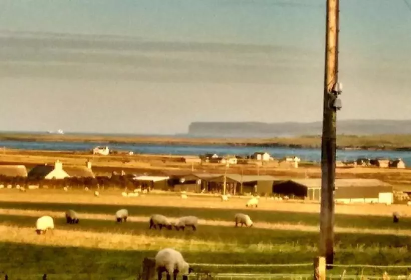 ベッドアンドブレックファースト Hamnavoe John O Groats Hostel