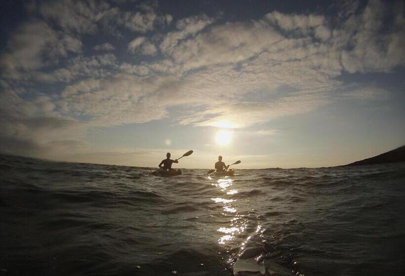 Bed and Breakfast Pyne Arms