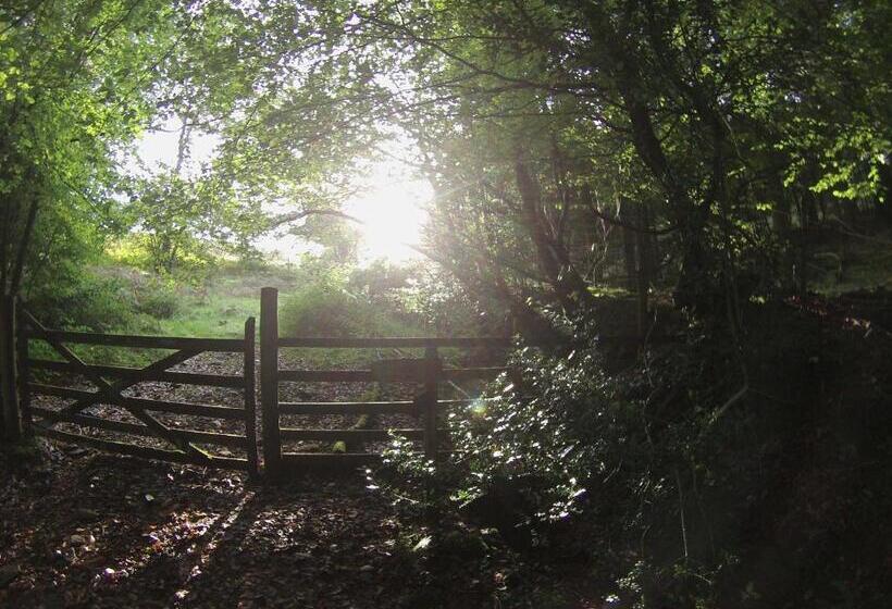 Bed and Breakfast Pyne Arms