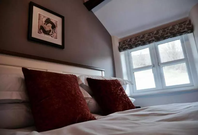 Bed and Breakfast Pyne Arms
