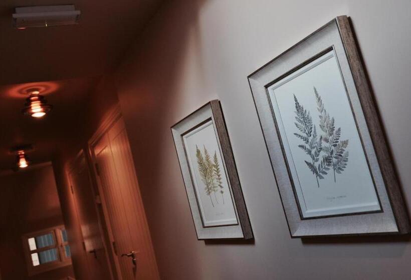 Bed and Breakfast Pyne Arms