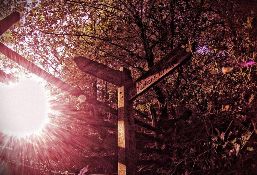 Bed and Breakfast Pyne Arms