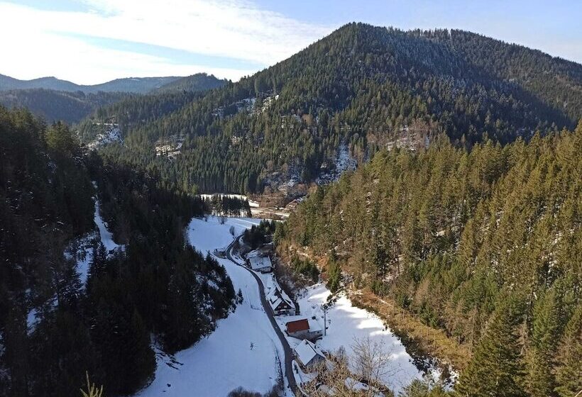 Отель Black Forest Family Apartment Zum Letzten G Stehr