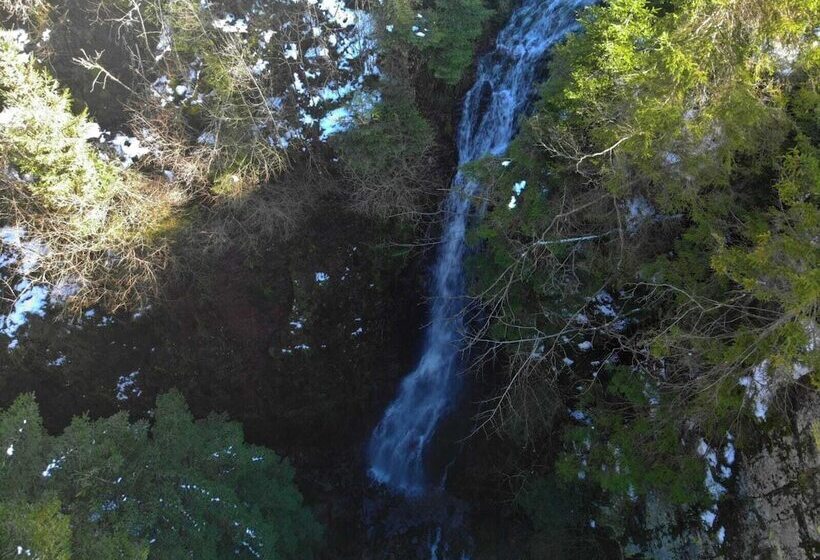 Отель Black Forest Family Apartment Zum Letzten G Stehr