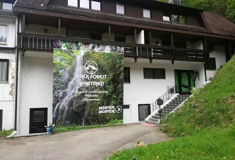 Hotelli Black Forest Family Apartment Zum Letzten G Stehr