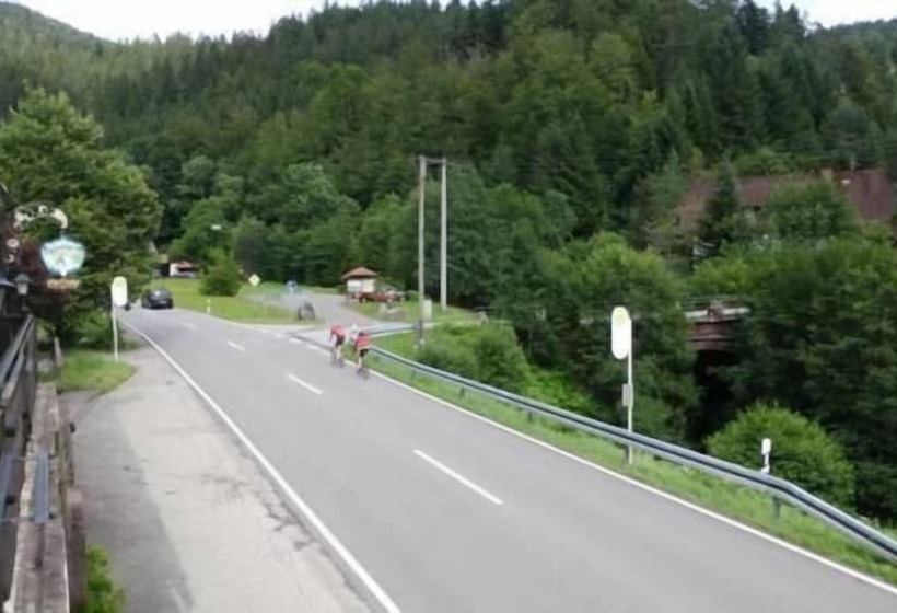 Отель Black Forest Family Apartment Zum Letzten G Stehr