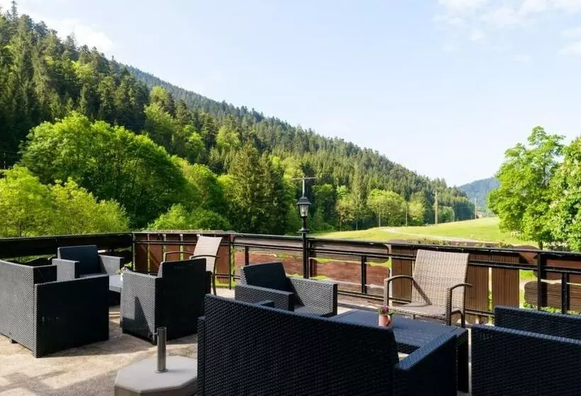 Hotelli Black Forest Family Apartment Zum Letzten G Stehr