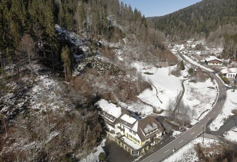 Отель Black Forest Family Apartment Zum Letzten G Stehr