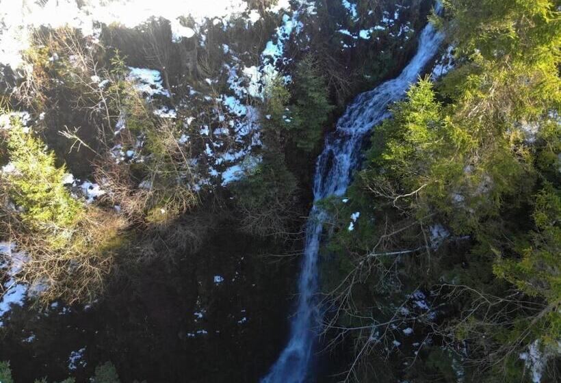 Отель Black Forest Family Apartment Zum Letzten G Stehr