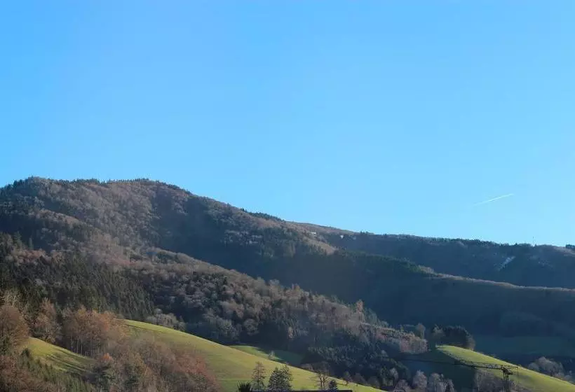 هتل Gasthaus Zur Linde