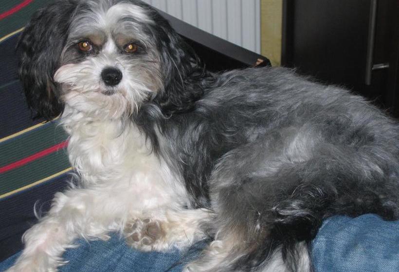 בית מלון כפרי Rosenhof