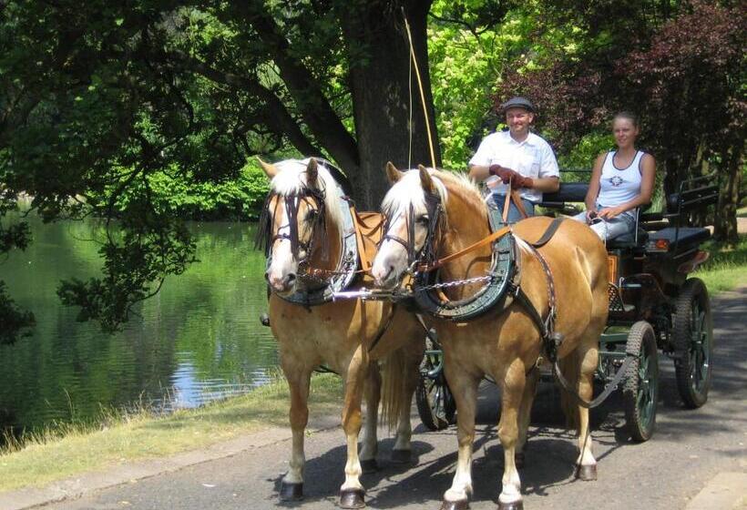 فندق Villa Rossek
