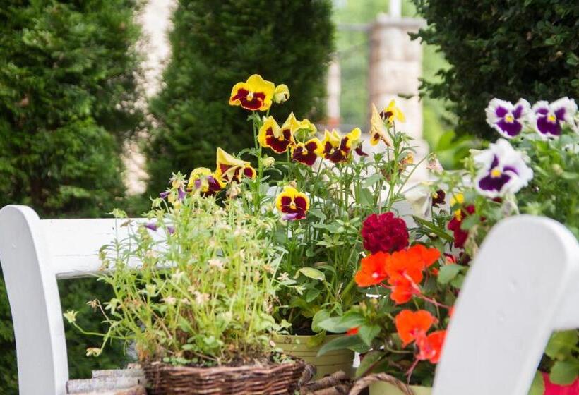 فندق Villa Rossek