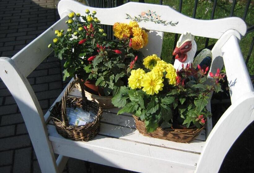 فندق Villa Rossek