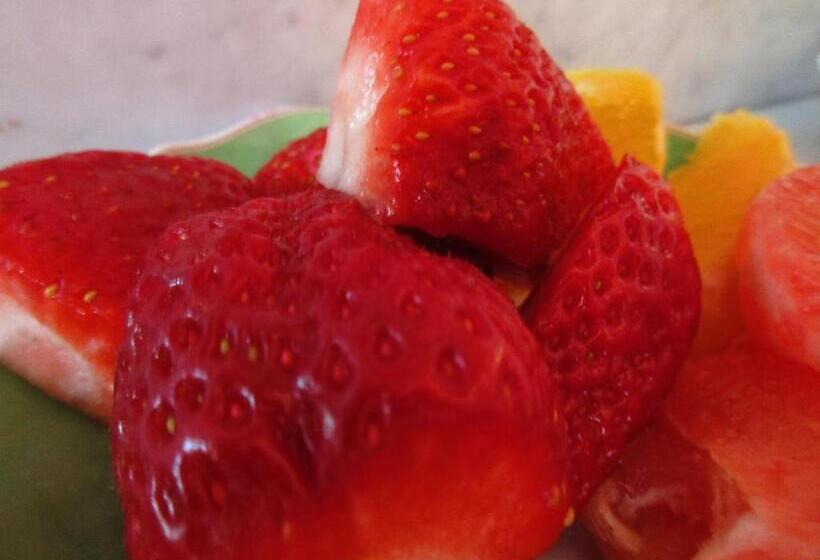 فندق Villa Rossek