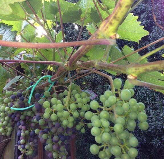 Landhotel Restaurant Wolfshof