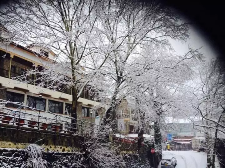 Mountain Rose Hotel & Restaurant