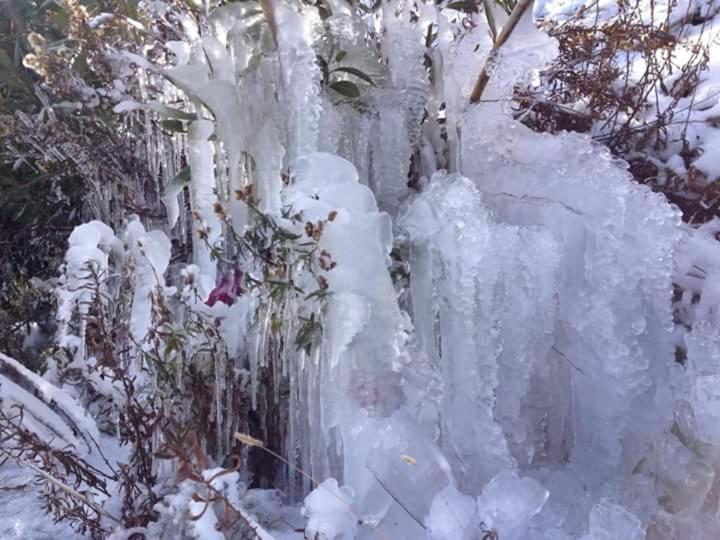 Mountain Rose Hotel & Restaurant