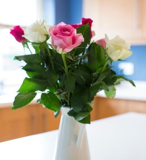 Skies Call Bed & Breakfast