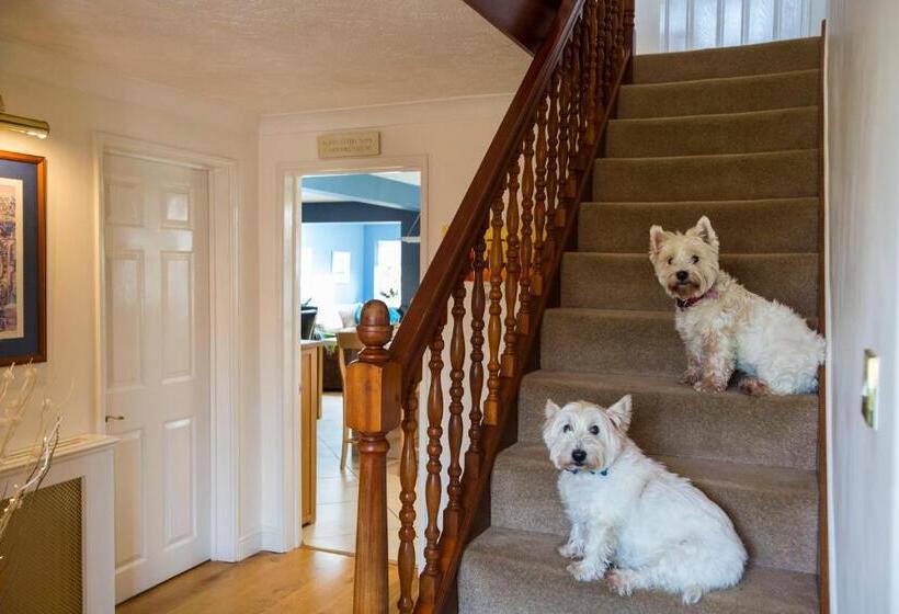 Skies Call Bed & Breakfast