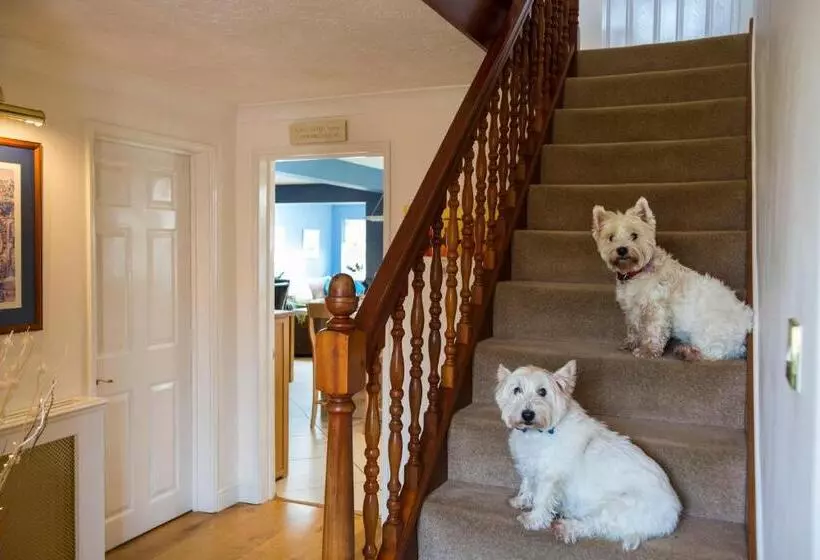 Skies Call Bed & Breakfast