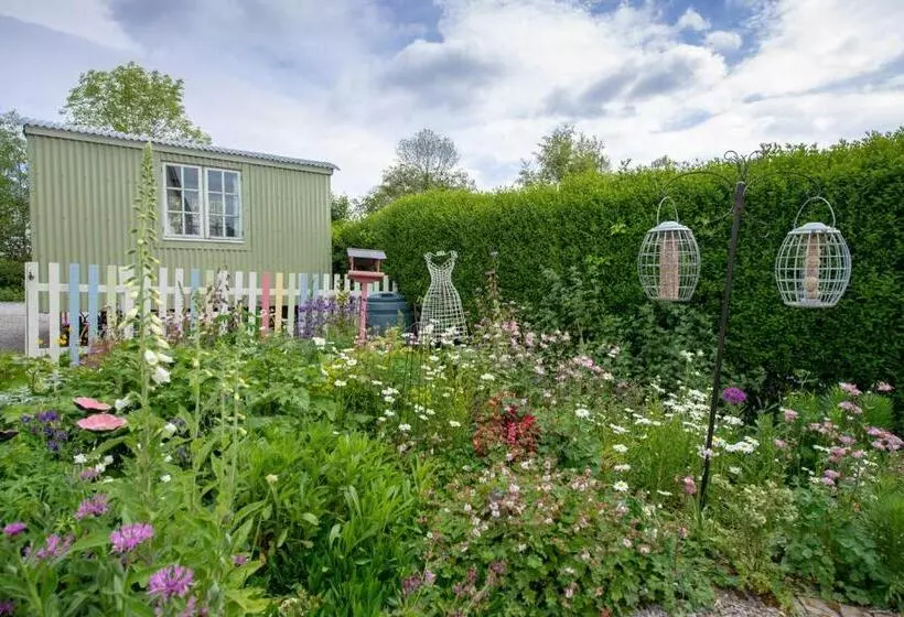 The Mount B&b
