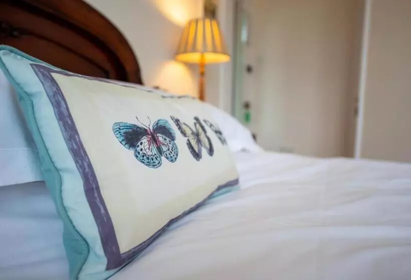 The Mount B&b