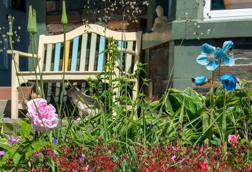 The Mount B&b