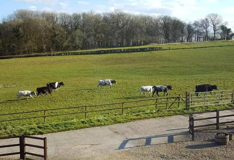 The Old Stables Bed & Breakfast