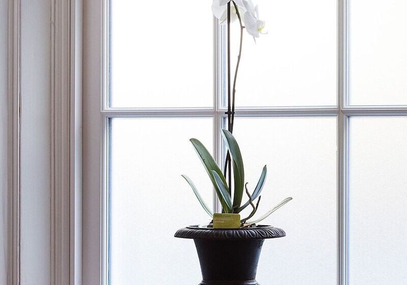 Bed and Breakfast Glenshieling House