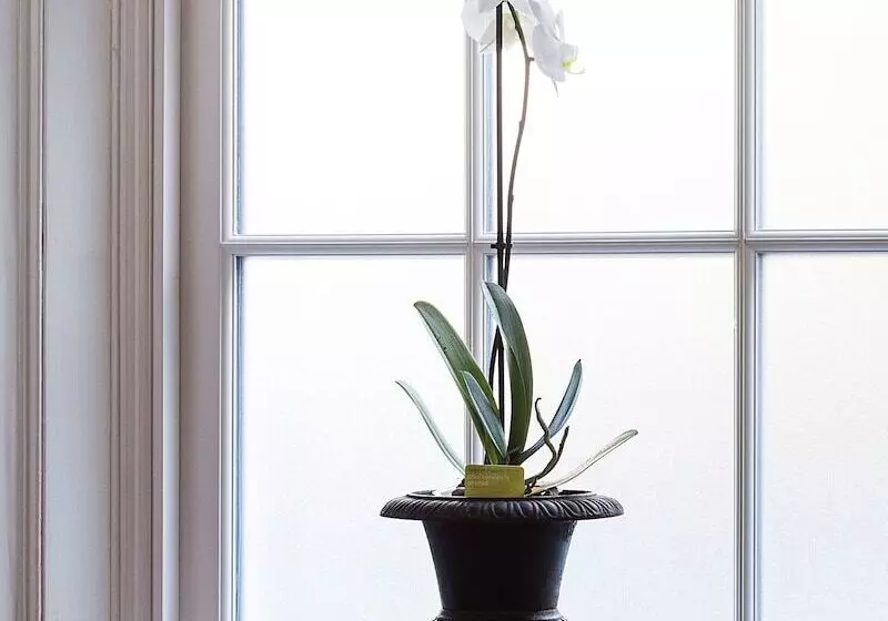 ベッドアンドブレックファースト Glenshieling House