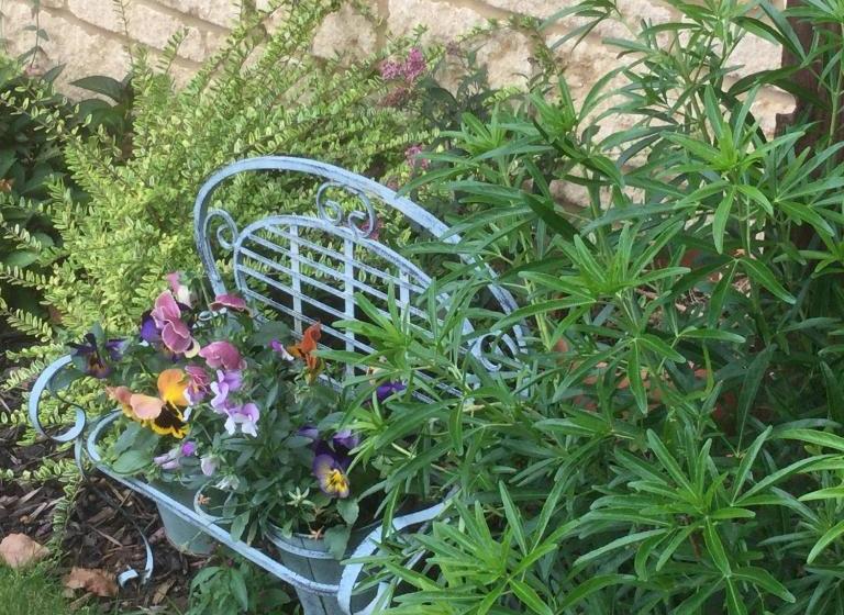 住宿加早餐 Moon House