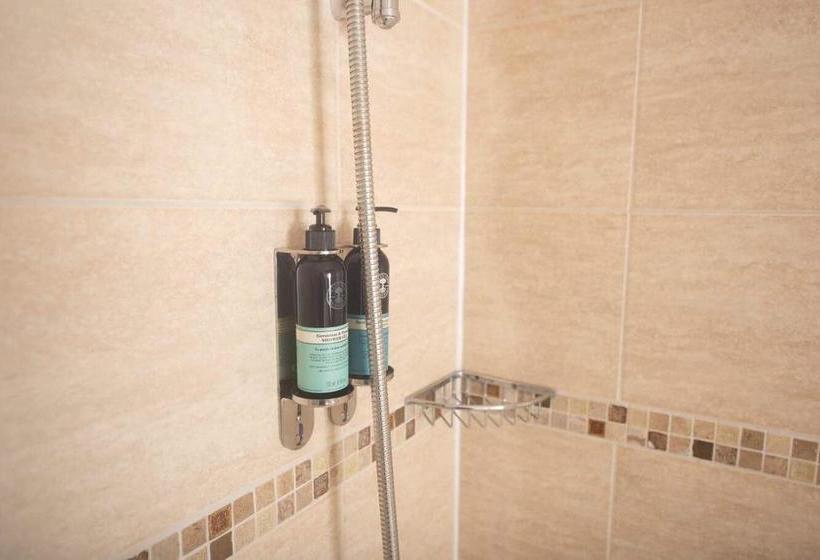 住宿加早餐  The Elm Tree