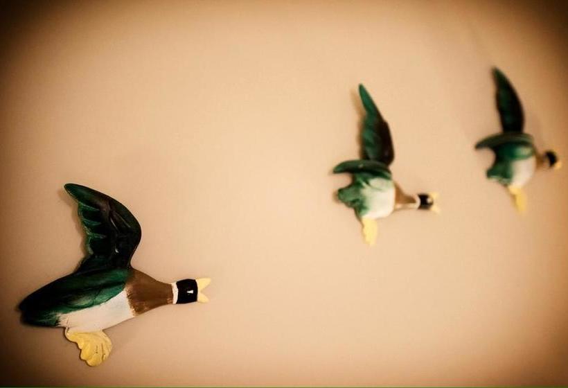 住宿加早餐  The Elm Tree