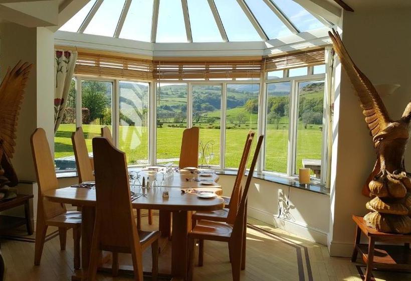 בית מלון כפרי Plas Dolguog