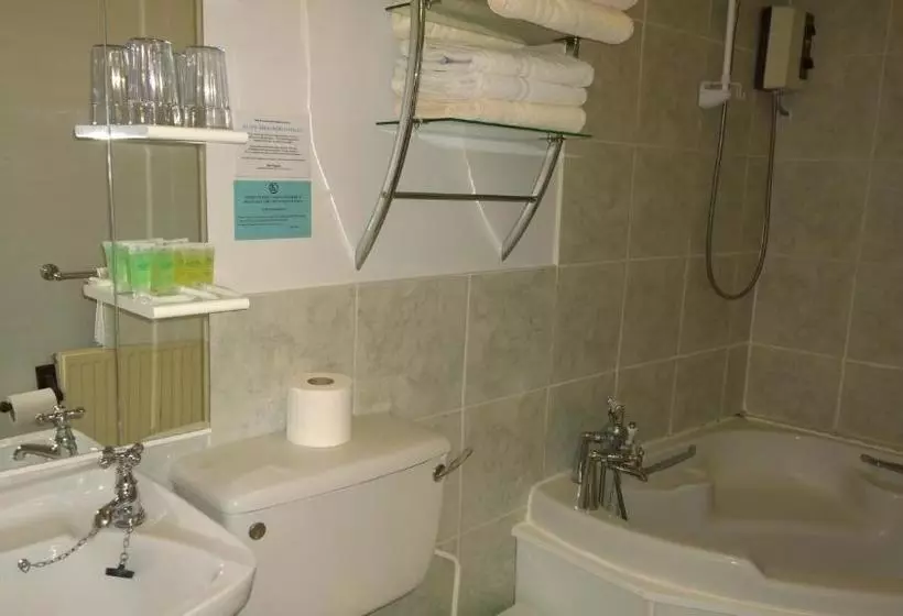 هتل Plas Dolguog