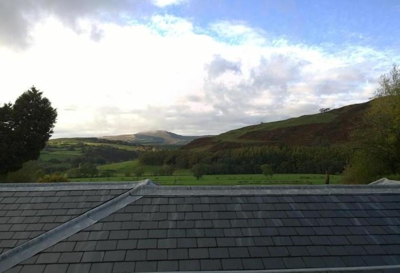 בית מלון כפרי Plas Dolguog