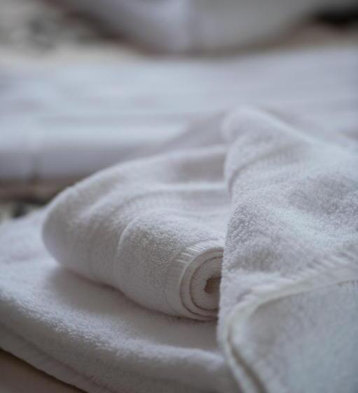 فندق The Racehorses