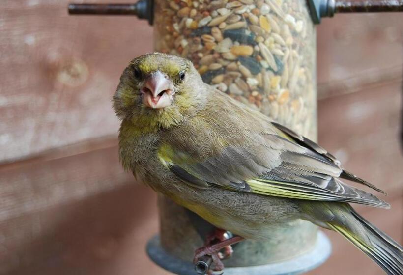 Mike & Carolyn Ball B&b