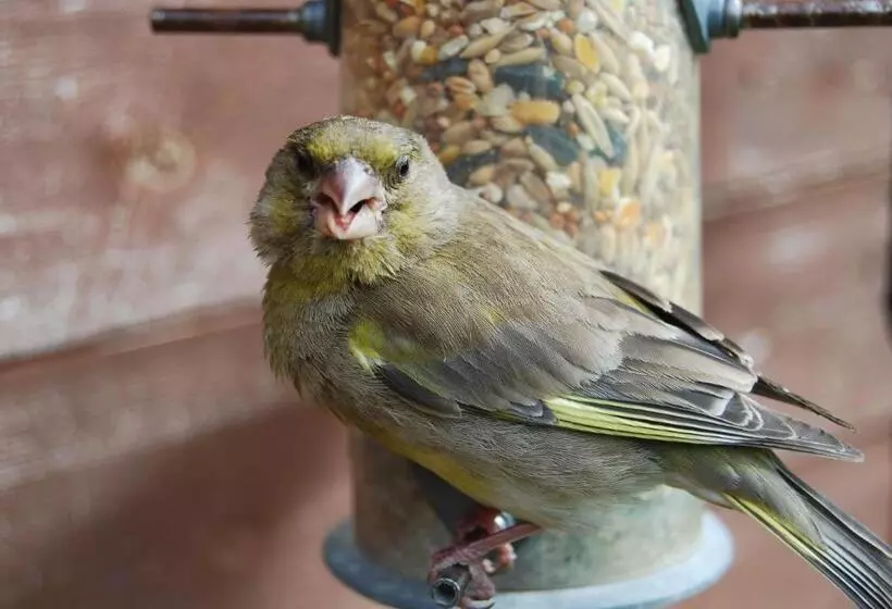 Mike & Carolyn Ball B&b