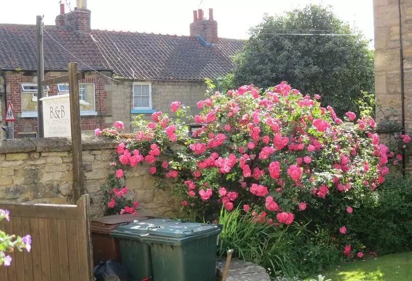 Pear Tree House B&b