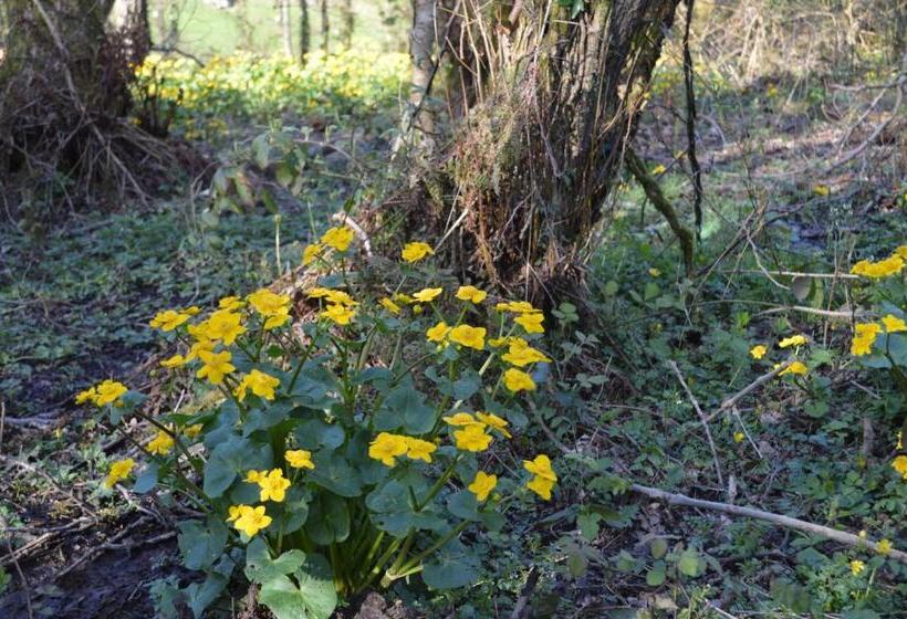 Troedyrhiw Bed & Breakfast