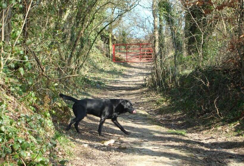Troedyrhiw Bed & Breakfast