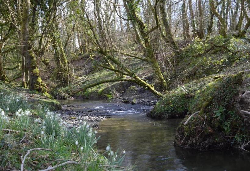 Troedyrhiw Bed & Breakfast